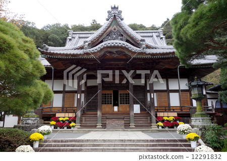 修善寺 12291832