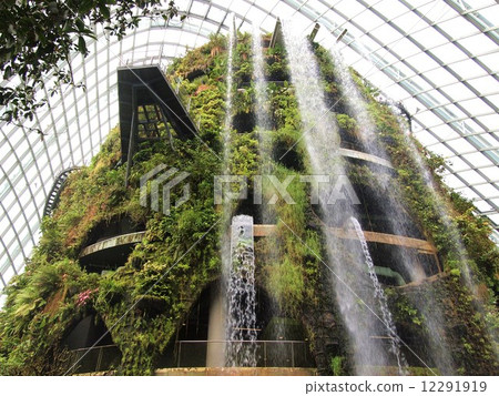 Singapore Gardens Visa Bay Cloud Forest 12291919
