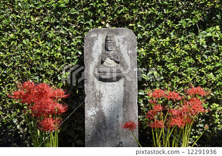 Stone Buddha and Higanbana 12291936