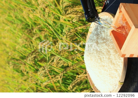 秋天米領域新的米和緣故 秋天米領域新的米和緣故 12292096