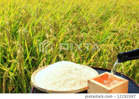 Autumn rice field New rice and sake 12292097