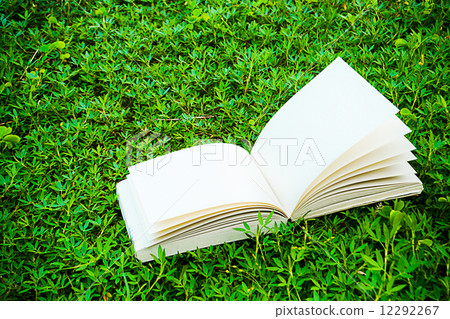 diary on the grass 12292267