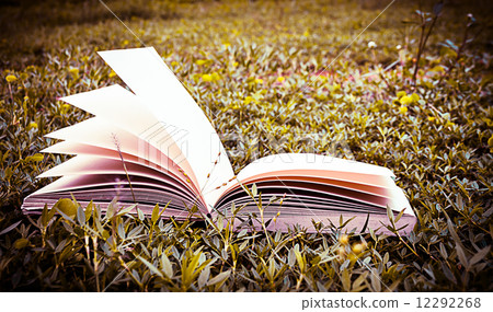 diary on the grass 12292268