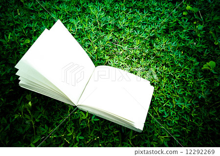 diary on the grass 12292269