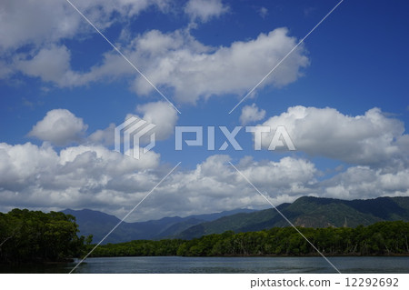 澳大利亞凱恩斯紅樹林 12292692