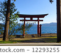 Torii 12293255
