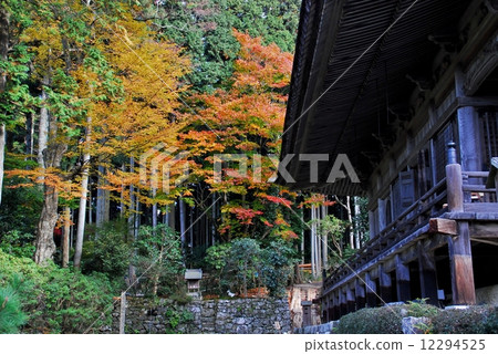 The autumnal leaves of Kyoto Katsurein Garden 12294525