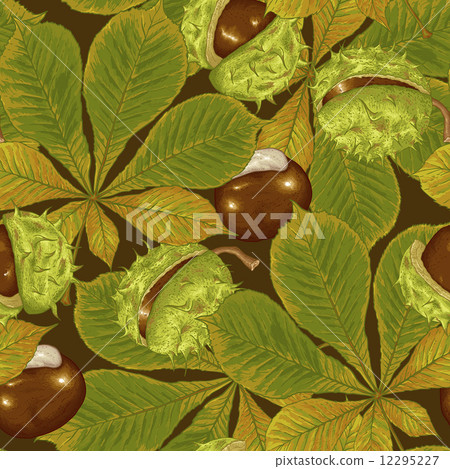 Chestnut Seamless Background Chestnut Seamless Background 12295227