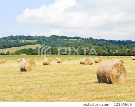 haystack rolls on harvested field in Normandy 12295669