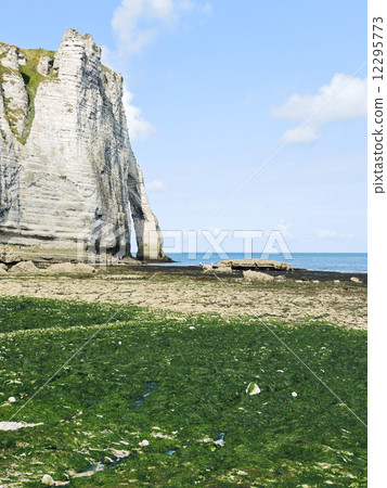 cliff on english channel beach during low tide 12295773