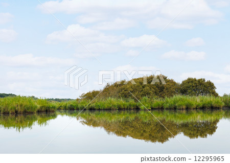 landscape of Briere Marsh in summer day, France landscape of Briere Marsh in summer day, France 12295965