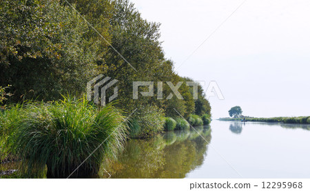floating in boat in Briere Marsh, France floating in boat in Briere Marsh, France 12295968