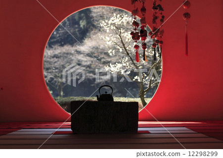 Meiji Temple's plum 12298299