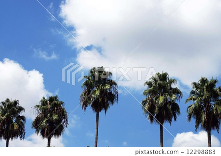 永井植物園的天空·從夏天到秋天 12298883