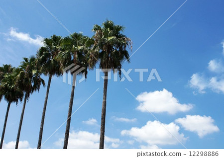 永井植物園的天空·從夏天到秋天 12298886