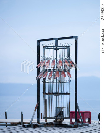 Machine to hang chips 12299009
