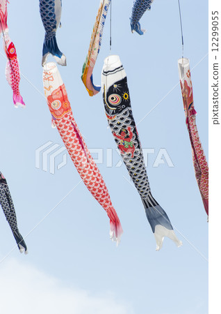 Carp streamer 12299055