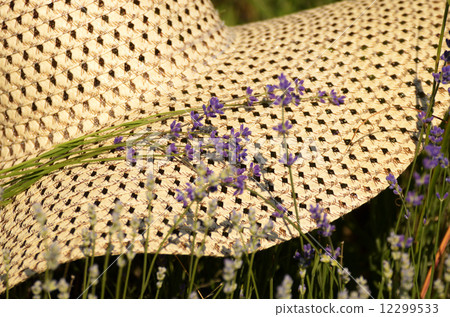 Summer hat with lavender flowers 12299533