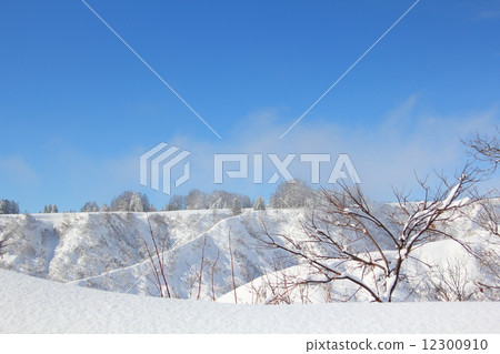 風景 風景 12300910