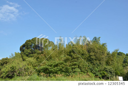 Shibano Maruyama Kofun 12305345