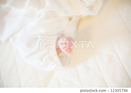 生日27歲生日 12305786