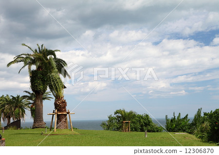 Horikiri通行證 Horikiri通行證 12306870