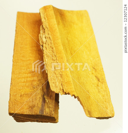 The bark of the yellowfinch 12307124