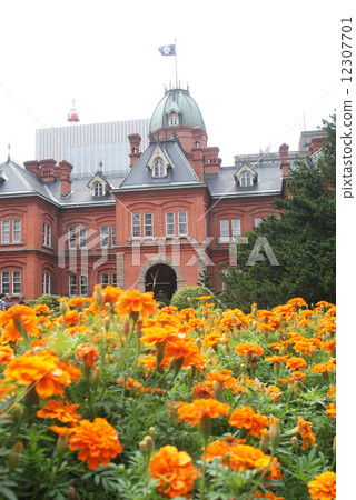 前北海道政府辦公樓（紅磚政府大樓） 12307701