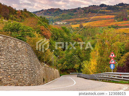 Road and autumnal trees in Piedmont, Italy. 12308015