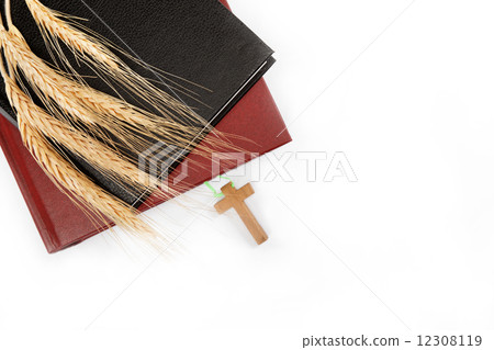 Two books / Holy Bible on white background. Two books / Holy Bible on white background. 12308119