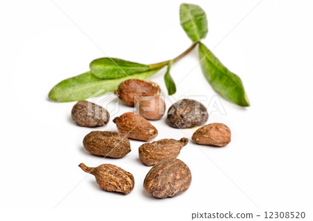 Shea nuts on white 12308520