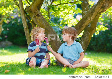 Two little sibling boys eating red ice cream in home's garden. Two little sibling boys eating red ice cream in home's garden. 12309641