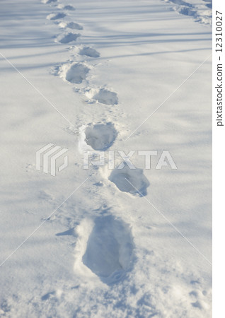 tracks on the snow tracks on the snow 12310027
