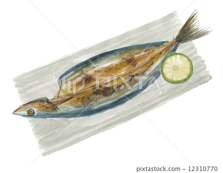 太平洋秋刀魚 12310770