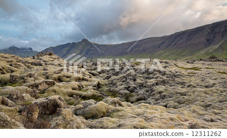 Never-ending Lava fields in Iceland with mountains Never-ending Lava fields in Iceland with mountains 12311262