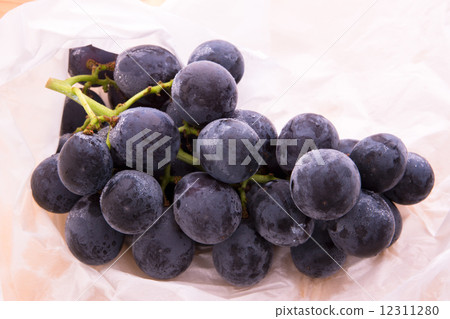 Gigantic peak 12311280