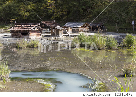 Source of Nikko Yumoto Onsen 12311472