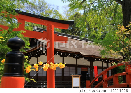 Shimogamo Shrine 12311908