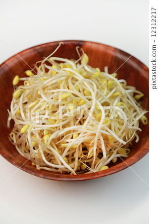 Soy bean sprouts 12312217