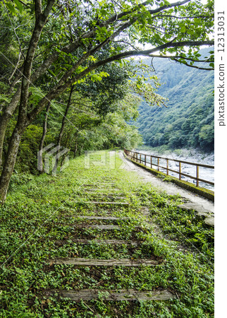 廢物軌道圖像材料遠足徑課程 廢物軌道圖像材料遠足徑課程 12313031