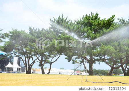 夏天的節日♪ 12313204