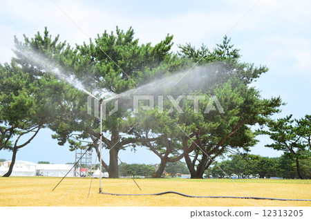 夏天的節日♪ 12313205