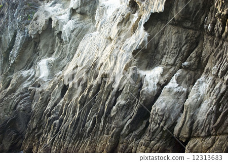 Futagaura rocky skin Futagaura rocky skin 12313683