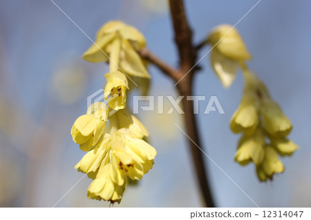 Hyuga mizuki 12314047