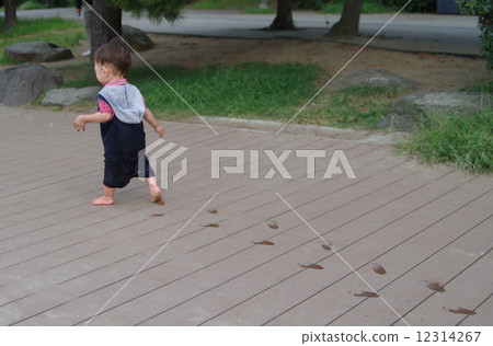 總佔地面積 12314267