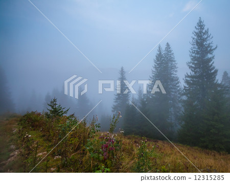 Majestic sunset in the mountains landscape 12315285