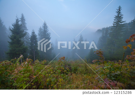 Majestic sunset in the mountains landscape Majestic sunset in the mountains landscape 12315286
