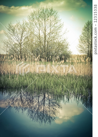 Vintage rural landscape with trees and sky reflection in lake 12315338
