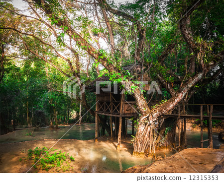 Wooden arbour at tropical rain forest at outdoors park. Laos 12315353