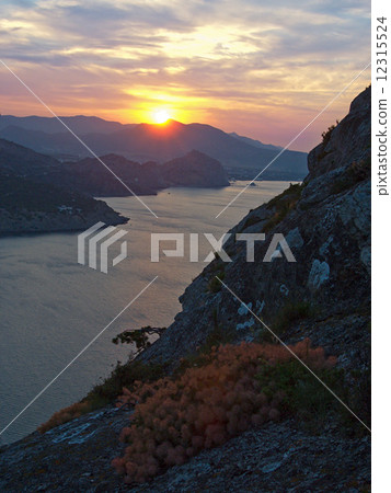 Sea sunrise 12315524